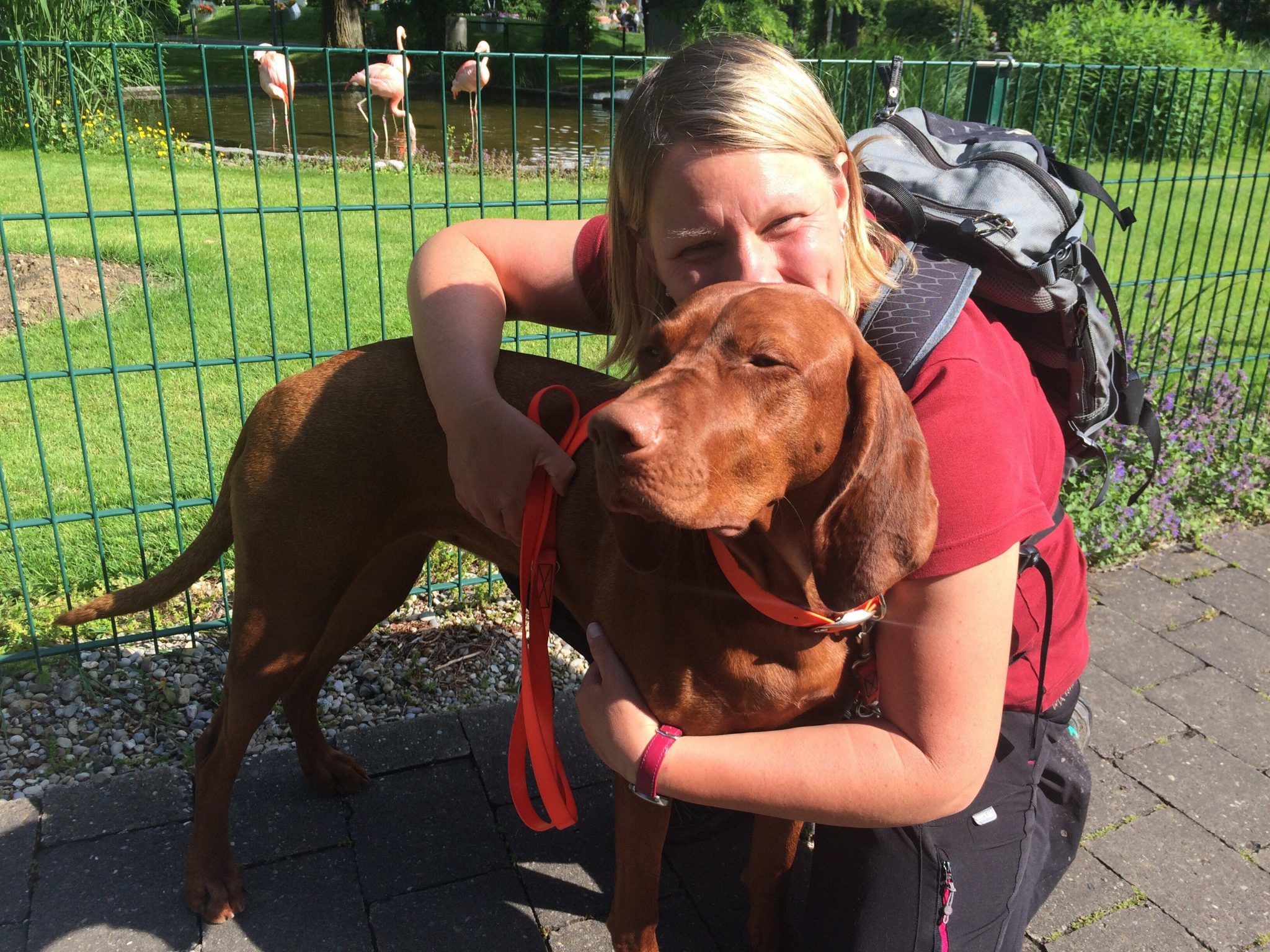 Mit Hund reisen