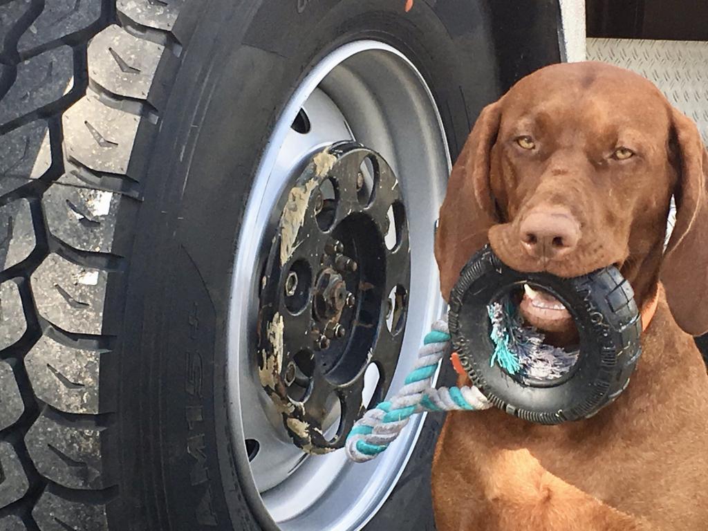 Rechts Nala mit Reifen, Links Hankook AM15+ Baustellenreifen 