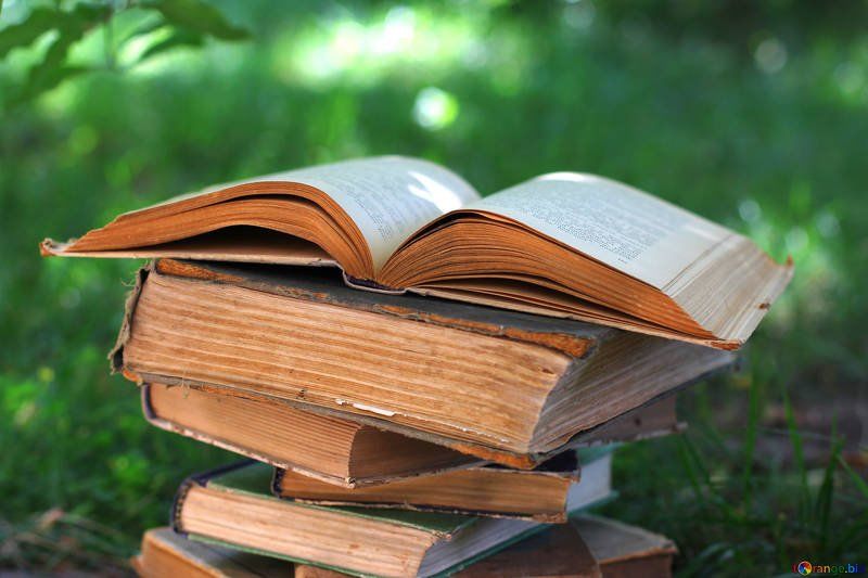 Bücher zum Thema Reisen, Abenteuer und Selbstfindung