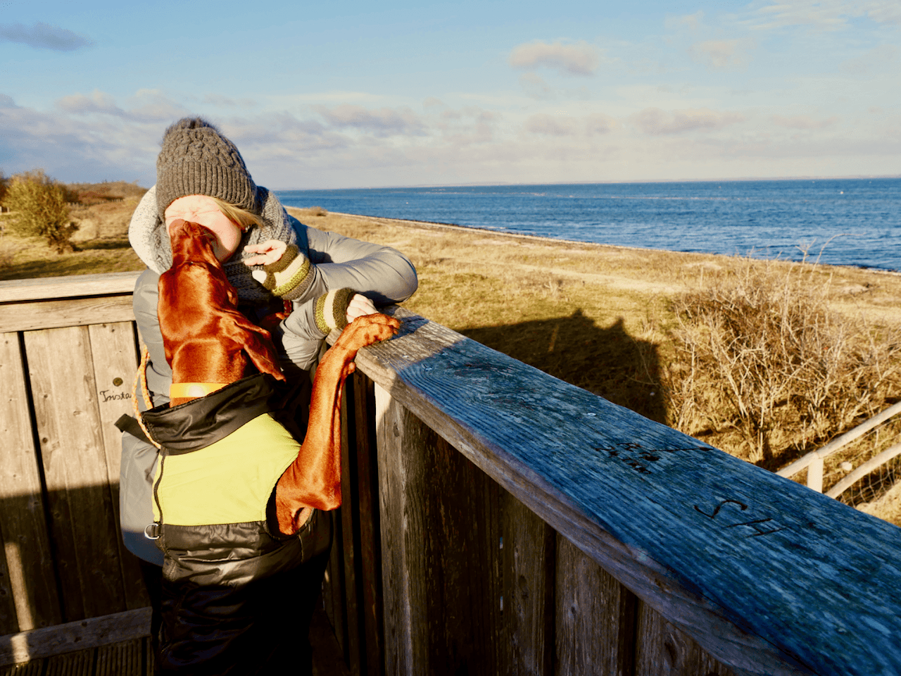 Wandern mit Nala an der Ostsee. Mit Hund am Meer.