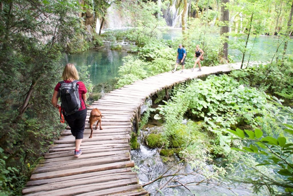 Wandern mit Nala - Mit Hund unterwegs in Kroatien