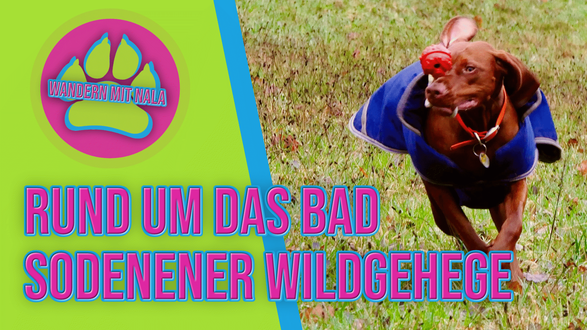 Wandern mit Nala - Rund um das Bad Sodener Wildgehege