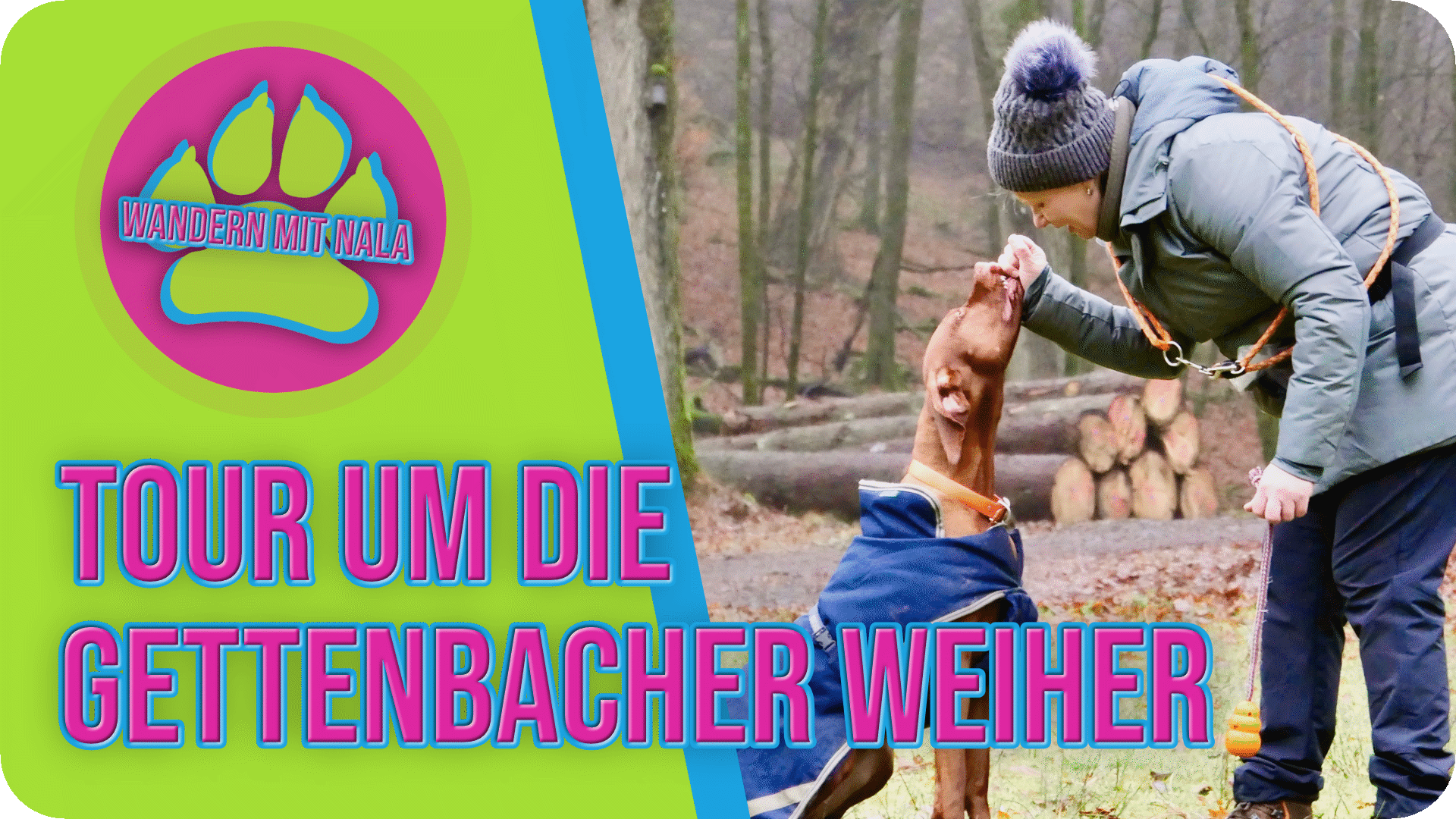 Wandern mit Nala - Tour um die Gettenbacher Weiher