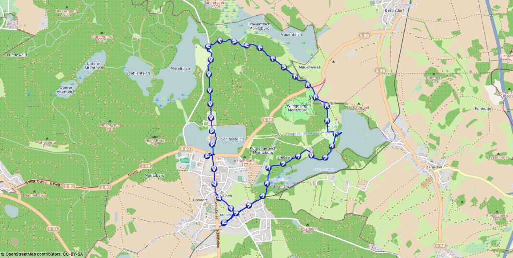 Mit Hund rund um die Moritzburg wandern