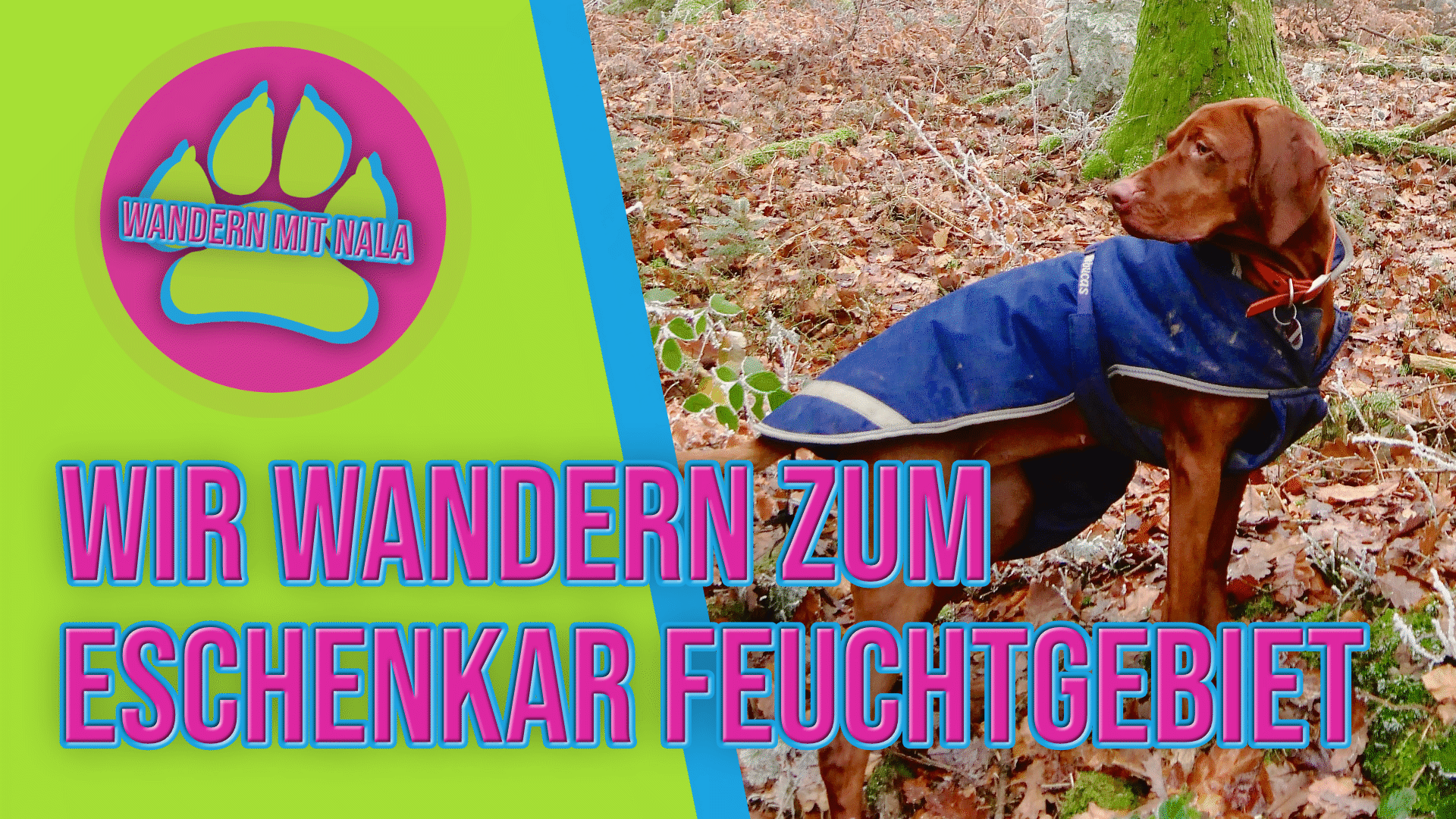 Wandern mit Nala - Wir wandern zum Eschenkar Feuchtgebiet