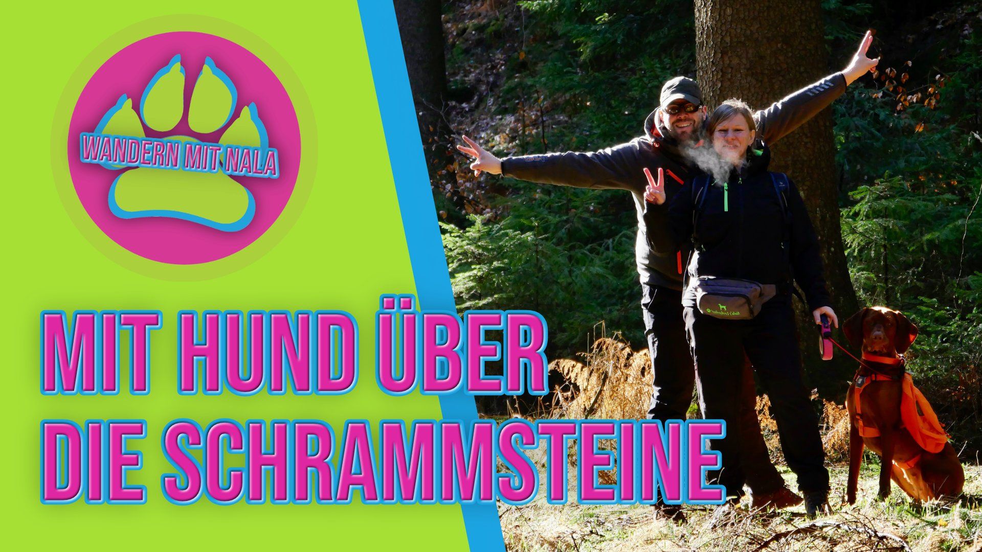Wandern mit Nala - Über die Schrammsteine