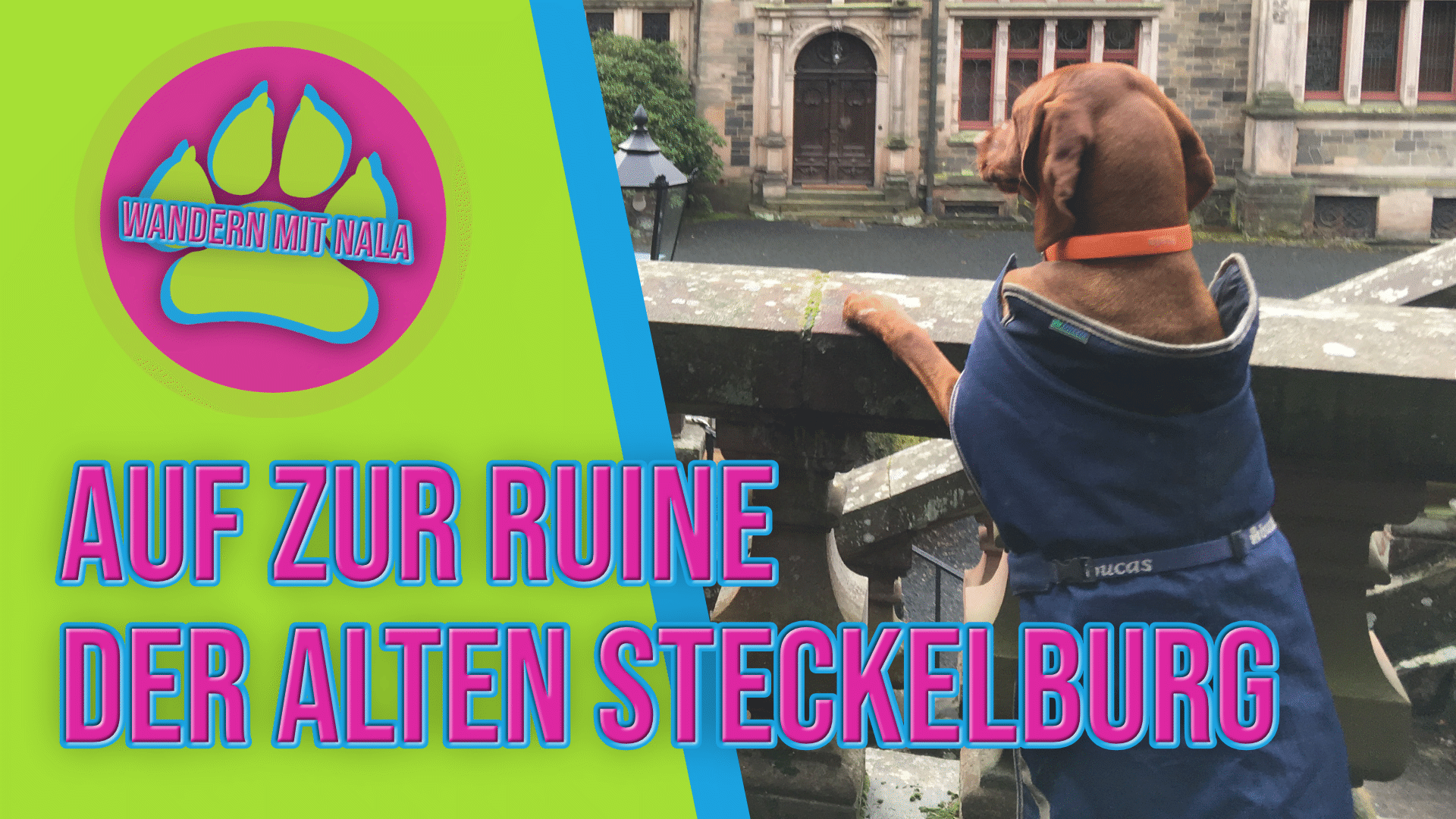 Wandern mit Nala - Auf zur Ruine der alten Steckelburg