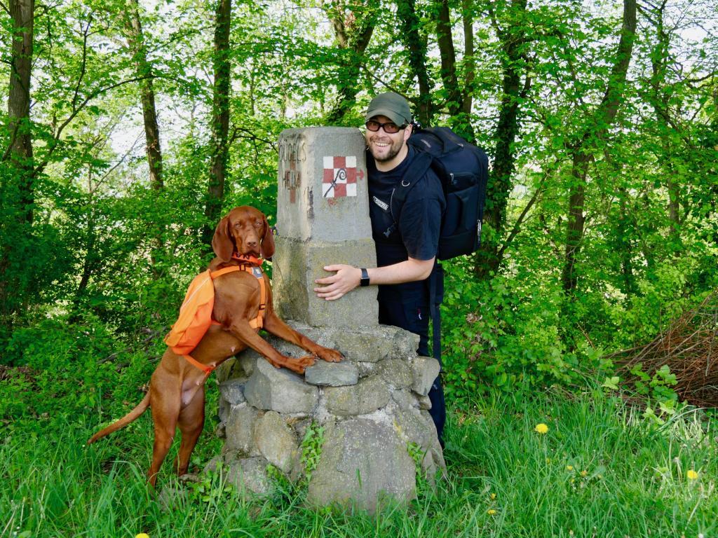 Wir folgen dem Wegzeichen für dem Keltenpfad zum Keltenmuseum