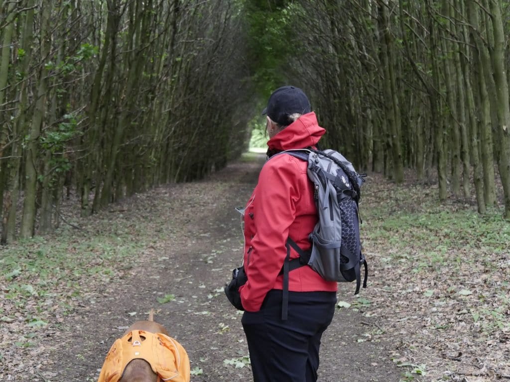 Wir finden Unterschlupf vor dem Wind in einem kleinen Wald