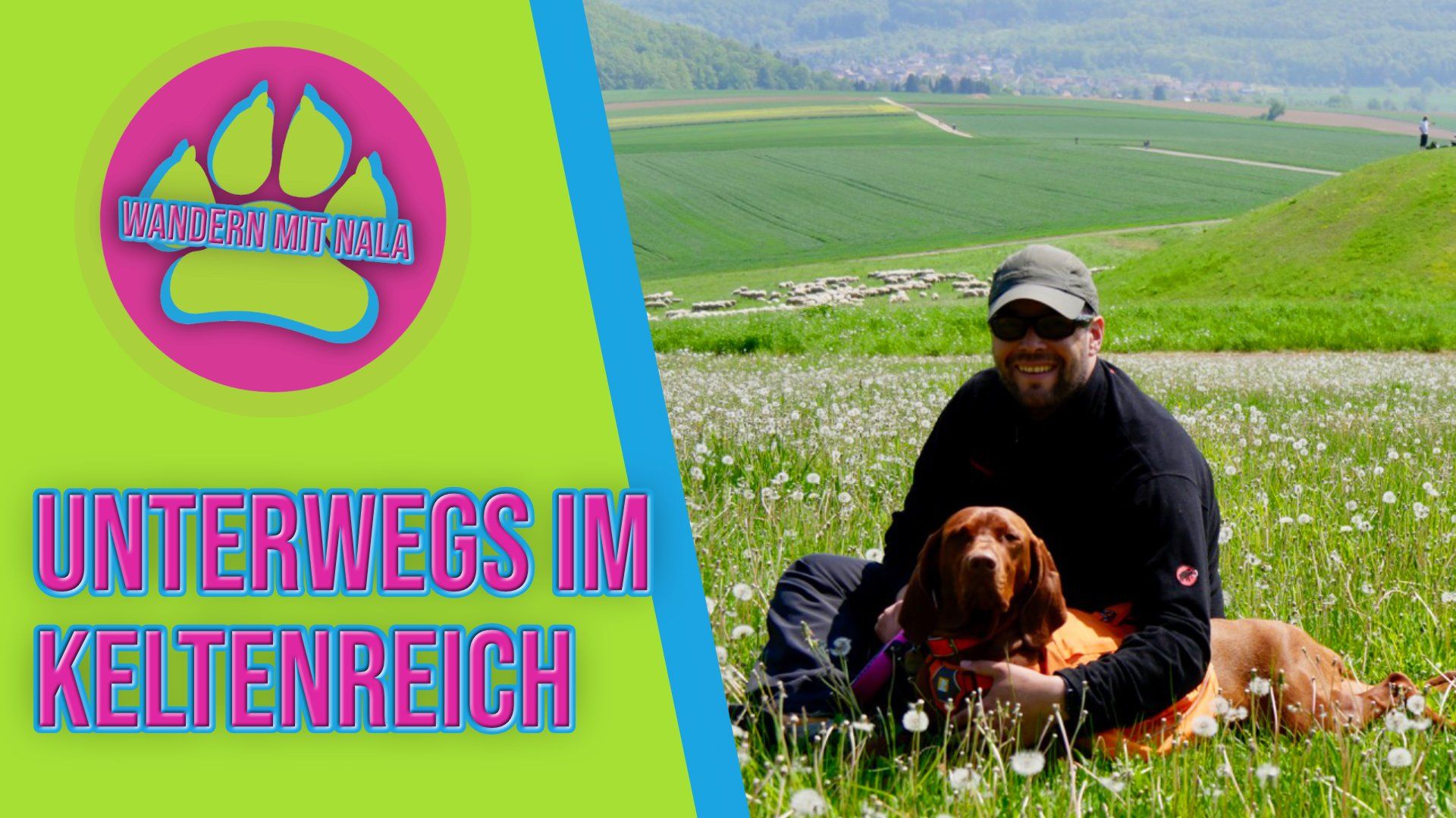 Wandern mit Hund - Keltenreich Glauberg
