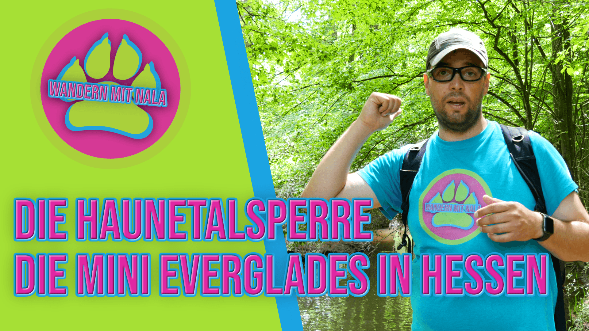 Wandern mit Nala - Die Haunetalsperre - Die Mini Everglades in Hessen