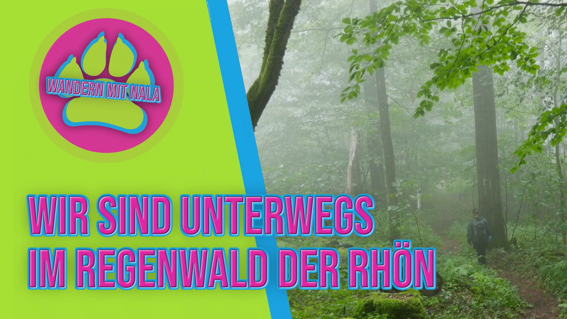 Wandern mit Nala - Im Regenwald der Rhön