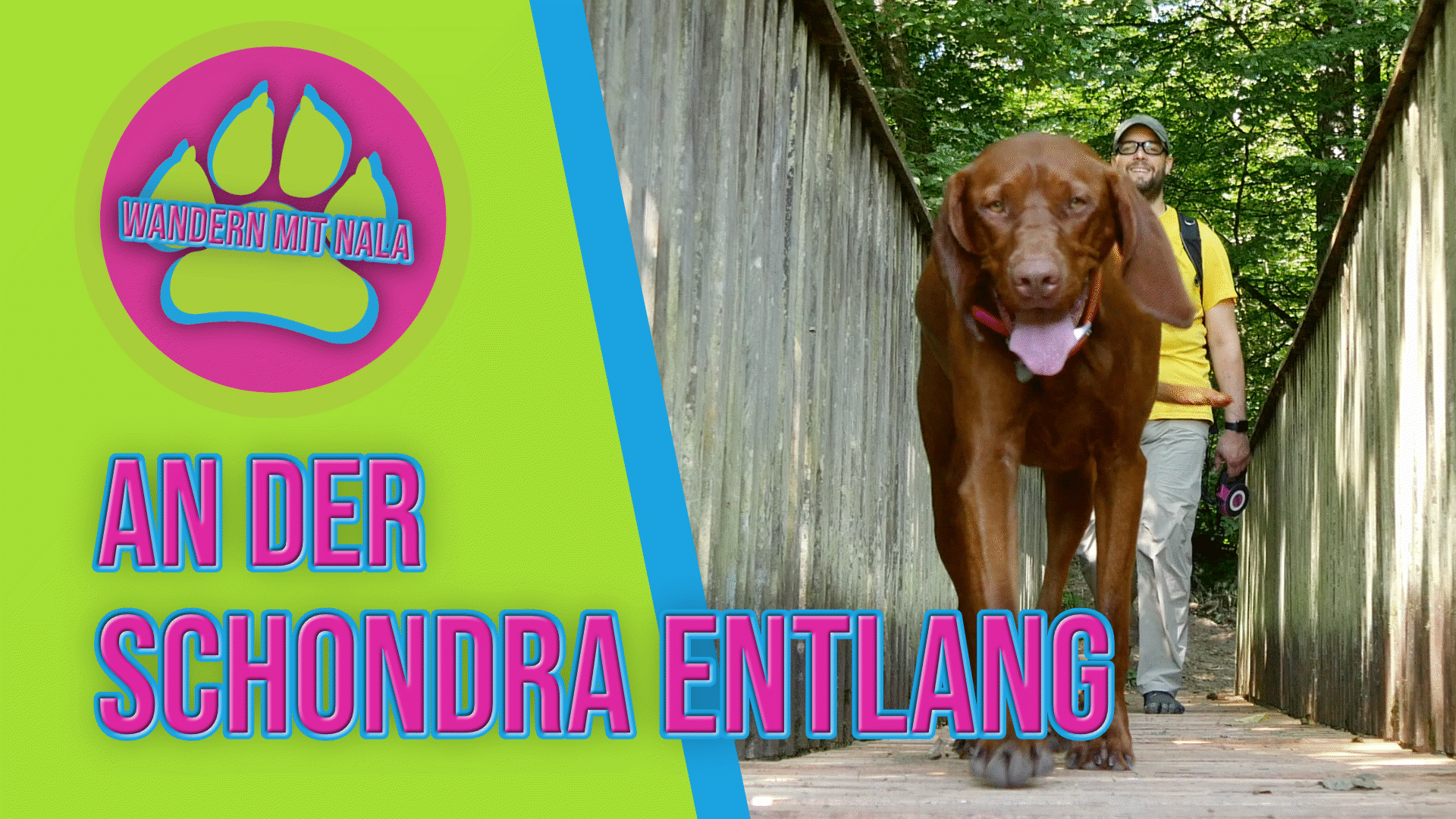 Wandern mit Nala - Schondra und Heiligkreuz