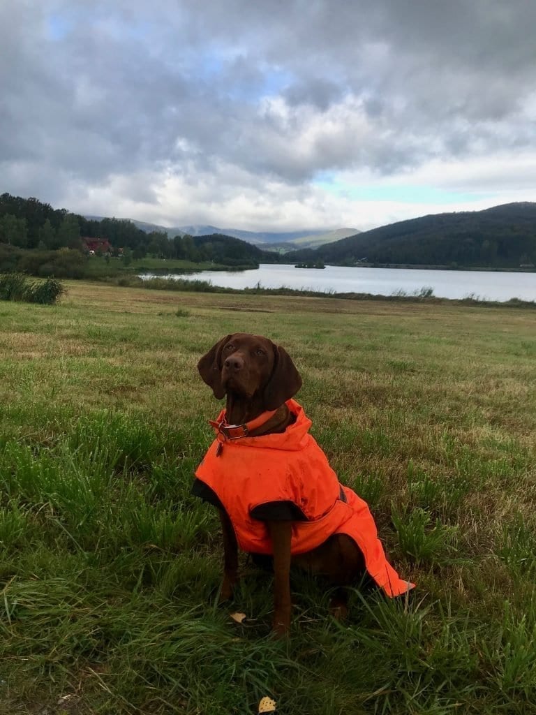 Nala vor dem Drachensee