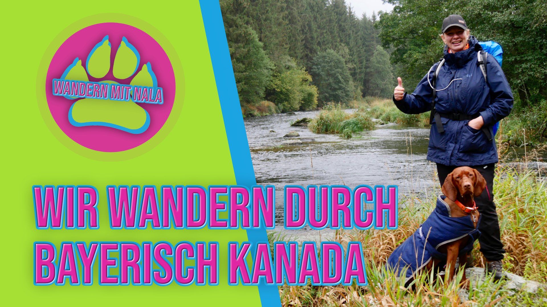 Mit Hund durch bayerisch Kanada wandern