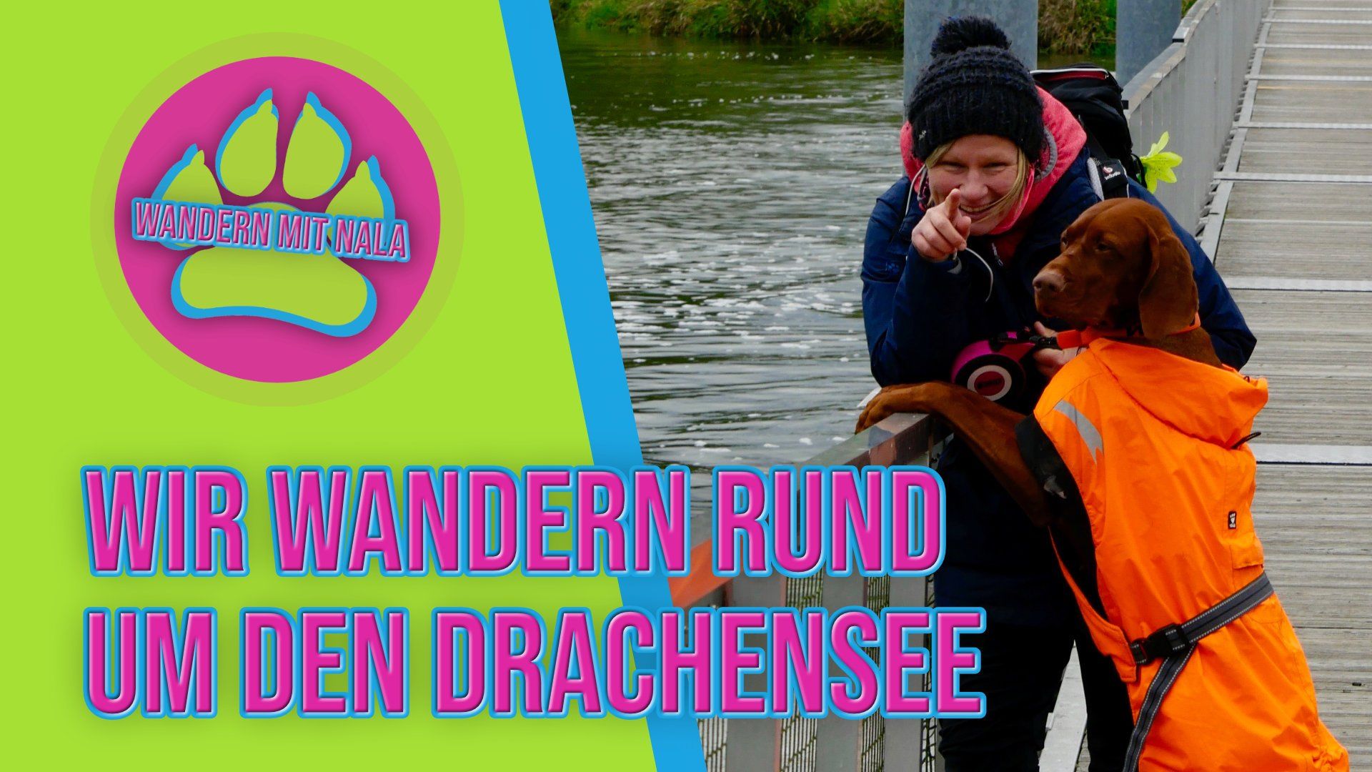 Mit Hund um den Drachensee wandern