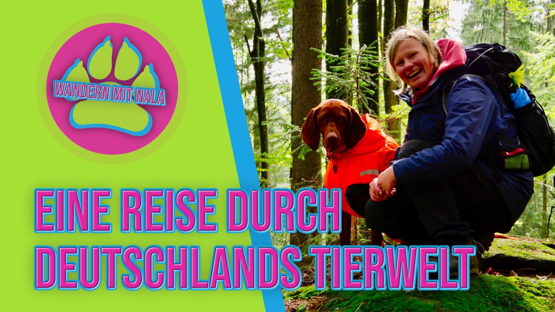 Durch die Tierwelt Deutschlands wandern