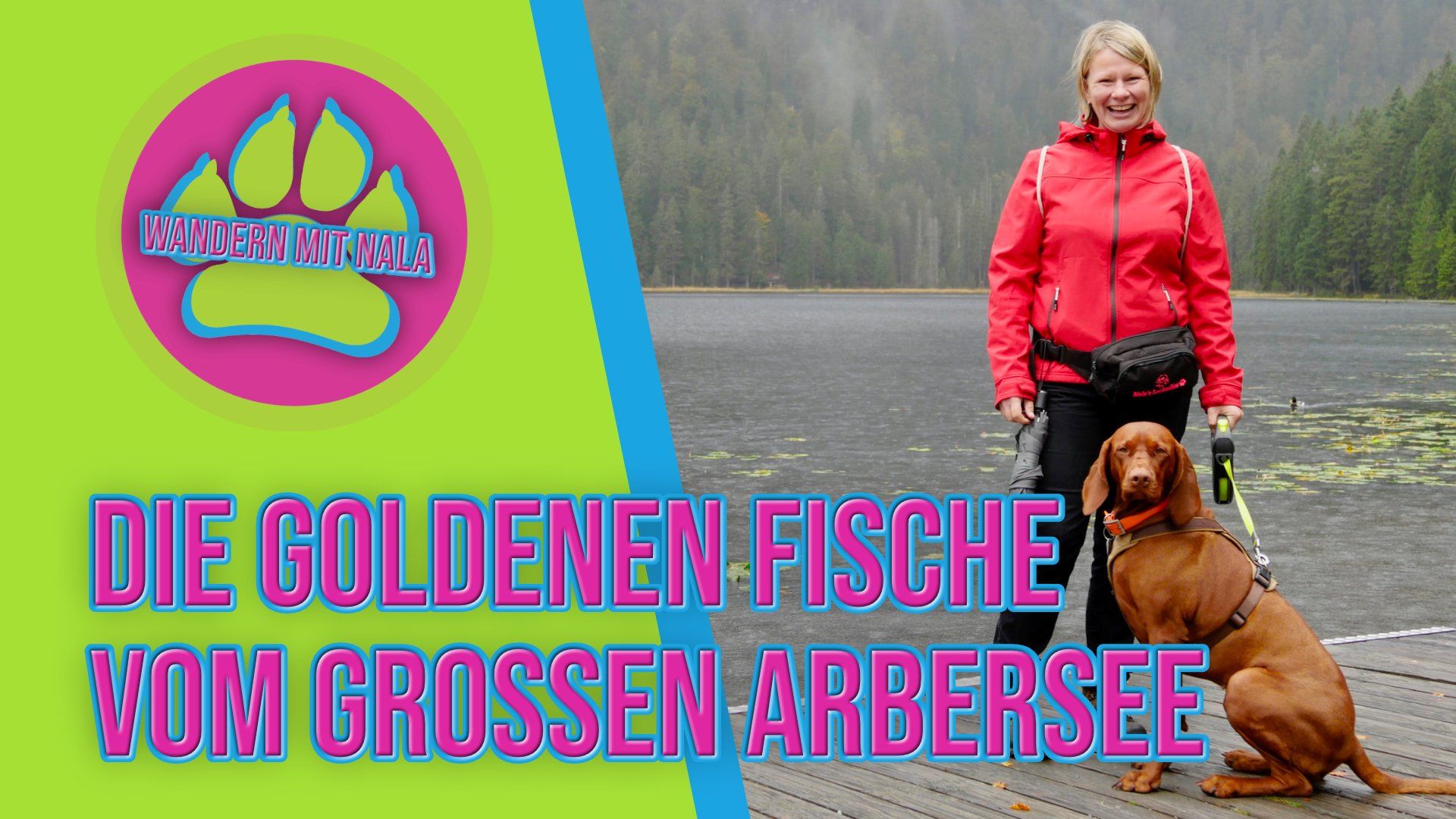 Wandern mit Hund am Großer Arbersee