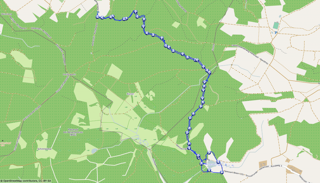 Wir wandern mit Hund zu einem Bieberteich