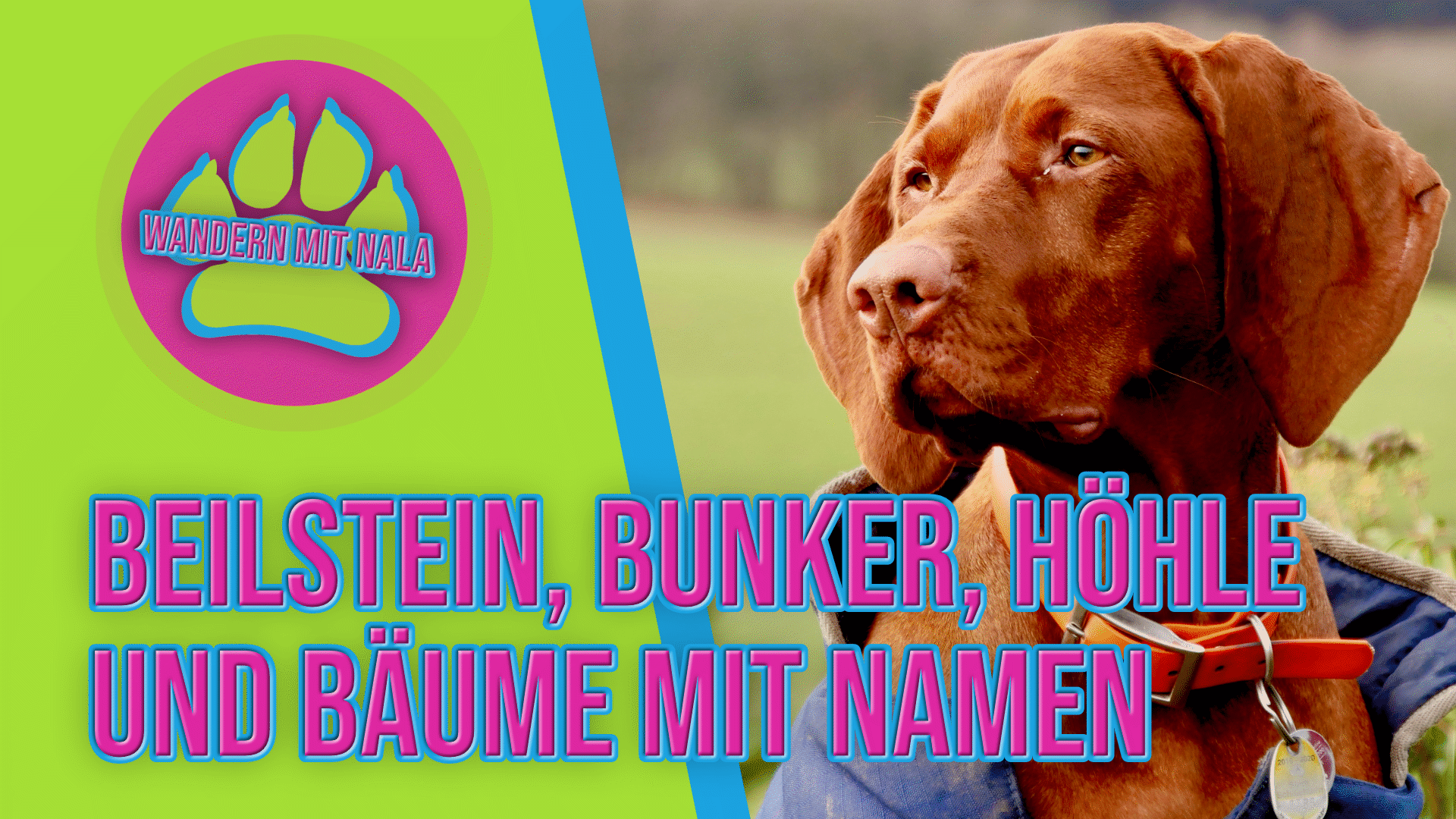 Wandern mit Nala - Beilstein - Lettgenbrunn - Wandern mit Hund