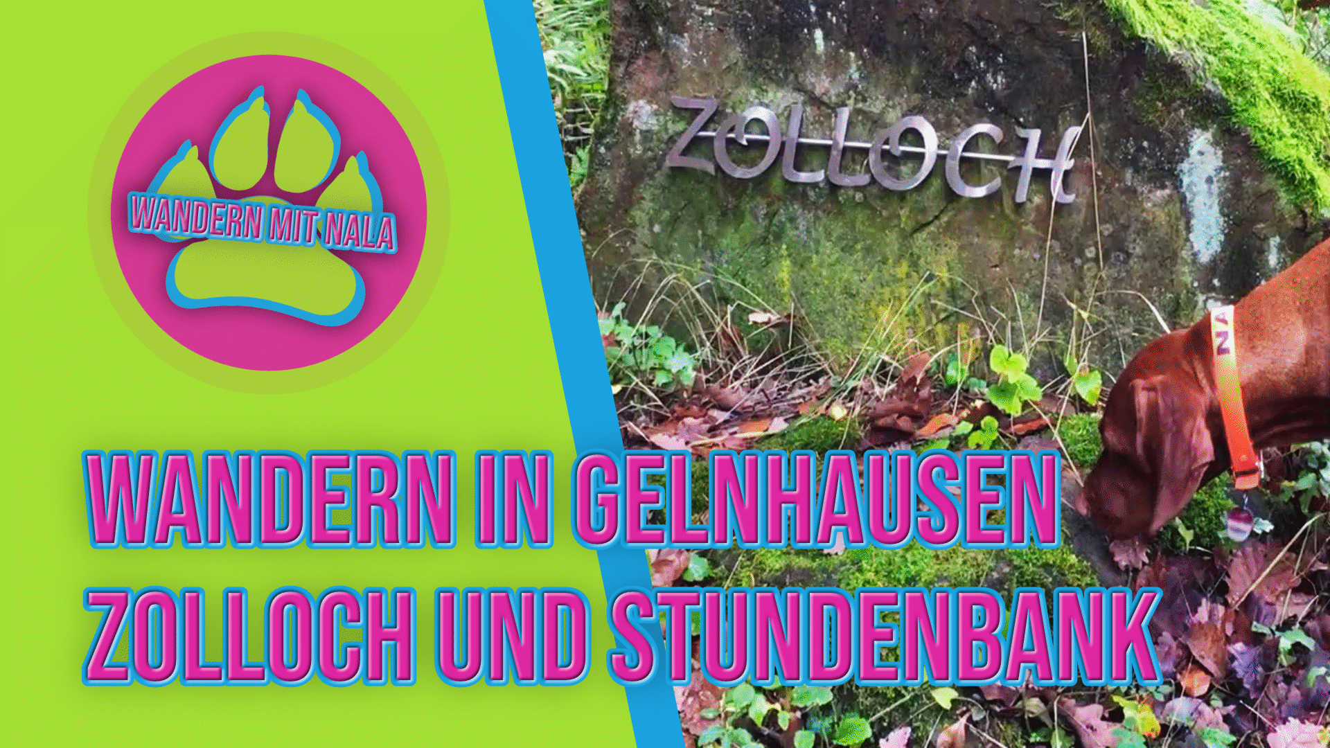 Wandern mit Hund in Gelnhausen