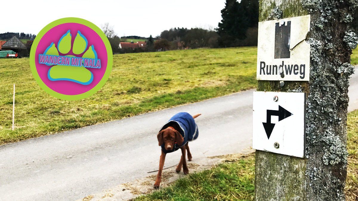 Die 4 Türme - Wandern mit Hund