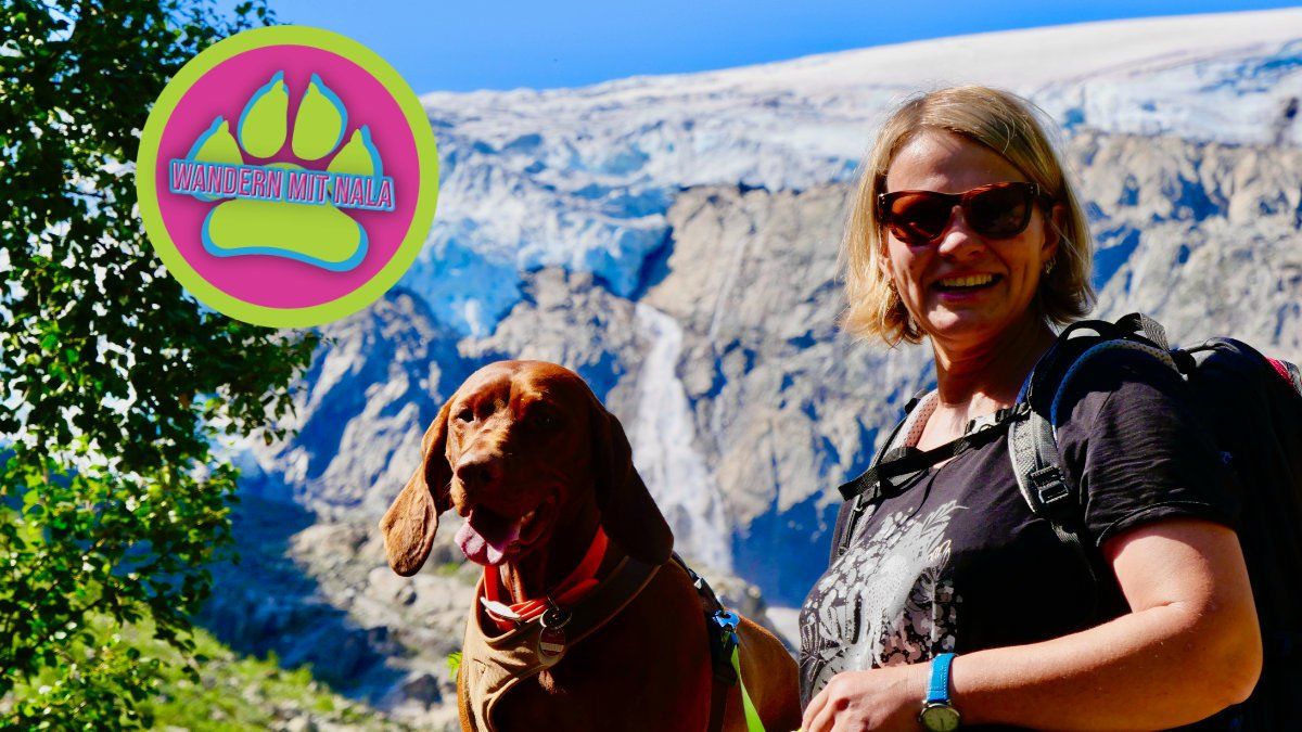 Hoch auf den Gletscher - Buarbreen - Norwegen - Wandern mit Hund