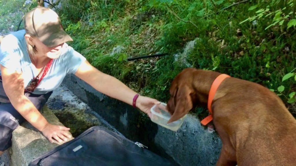 Wasser tanken an der kleinen Quelle