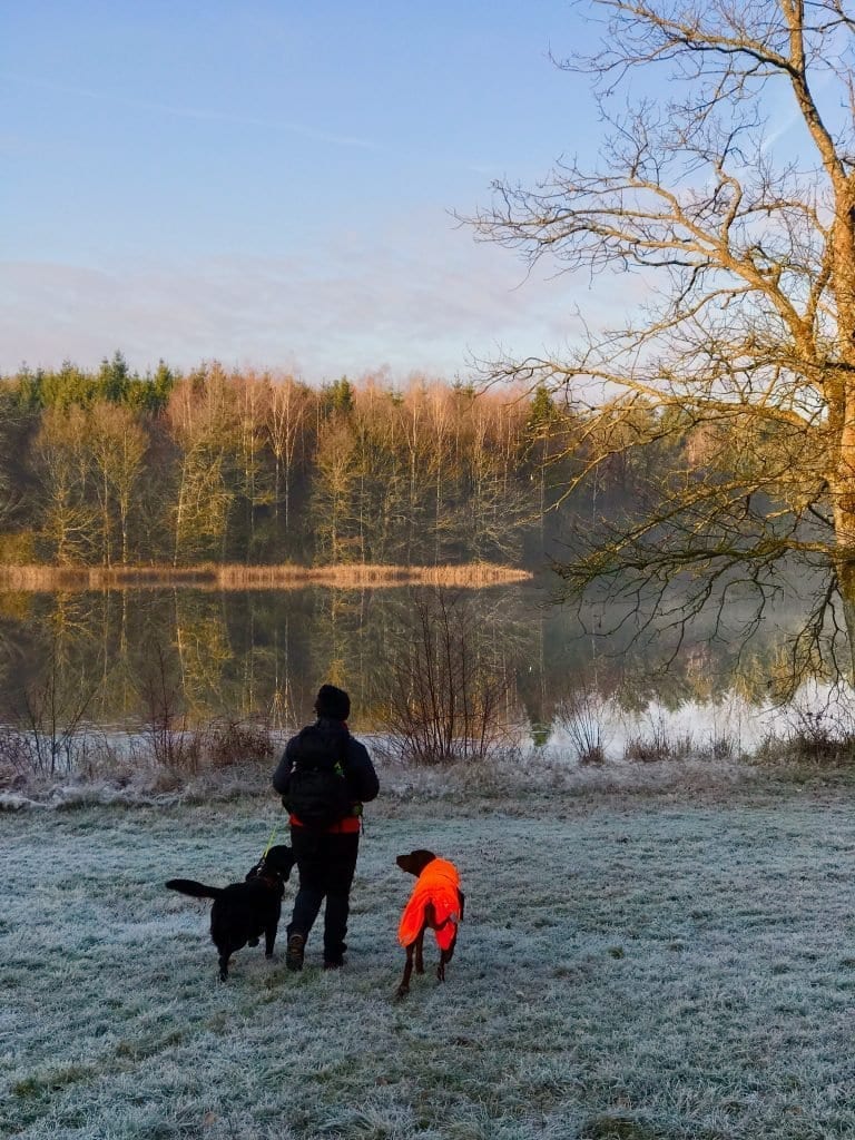 Wir erreichen den ersten der drei Waldweiher