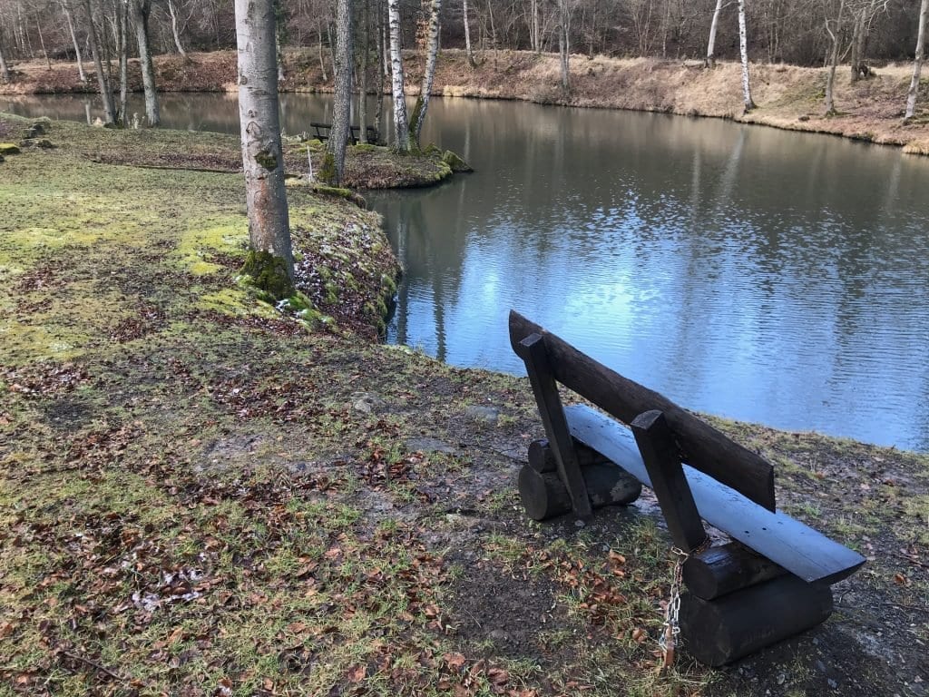 Eine Bank lädt zum verweilen ein. Ideal als Pauseplatz für die Wanderung mit Hund.