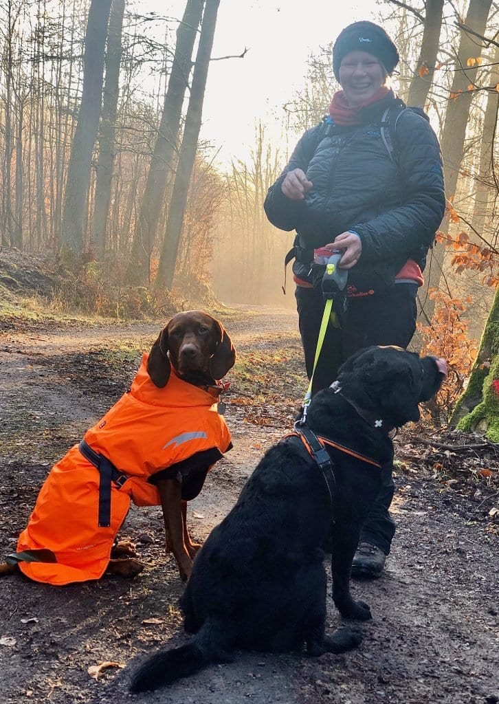 Elfi, Nala und Charly im goldenen Wald