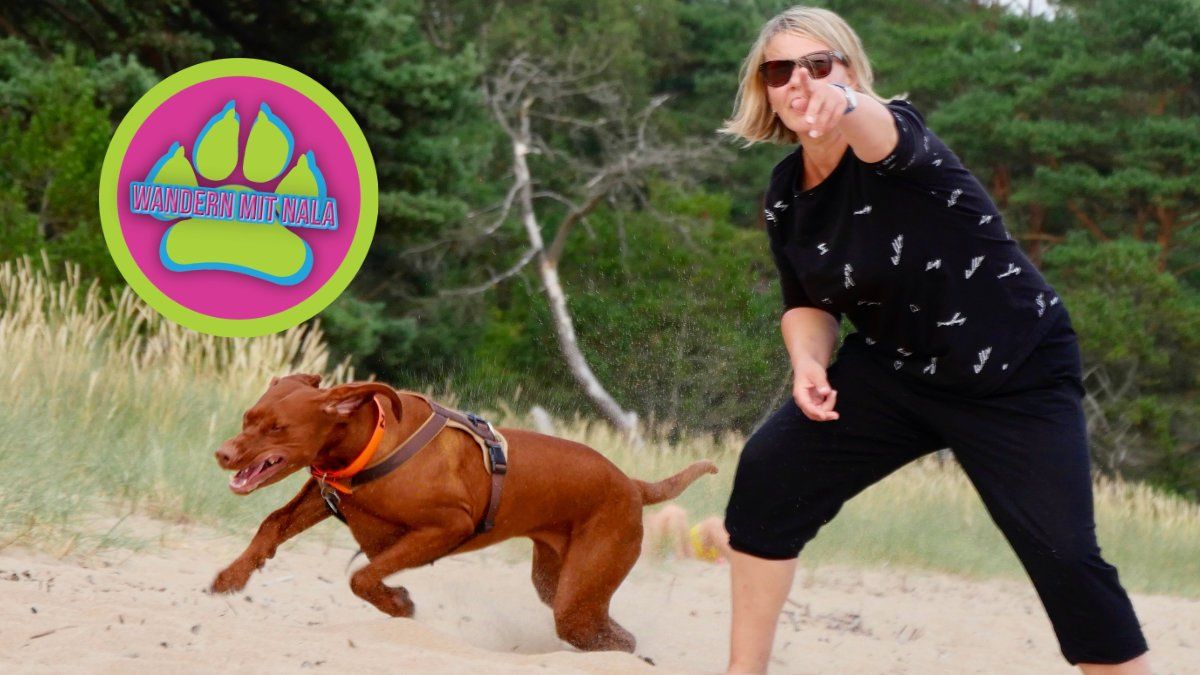 Wie du deinen Hund richtig beschäftigen kannst