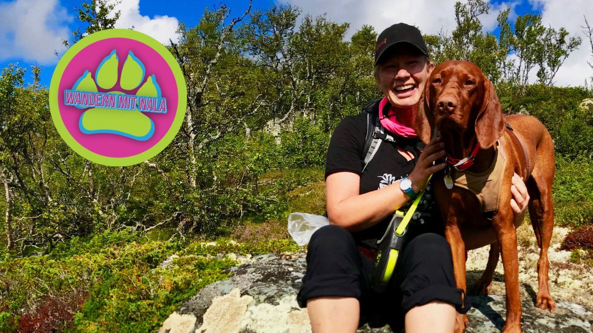 Wandern mit Hund im norwegischen Fjell