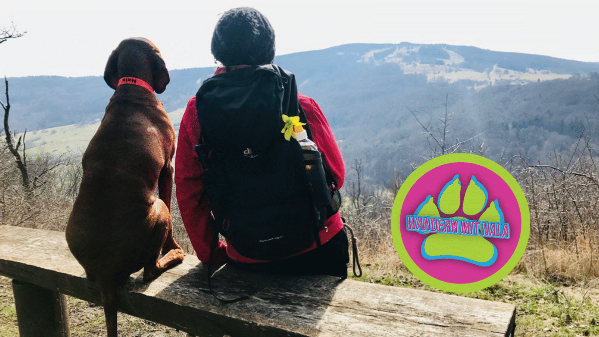 Hoch zur Osterburg - Rhön - Wandern mit Hund
