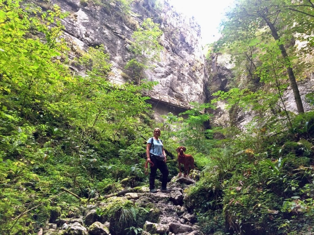 Einsamer Wanderweg. Ideal zum wandern mit Hund.
