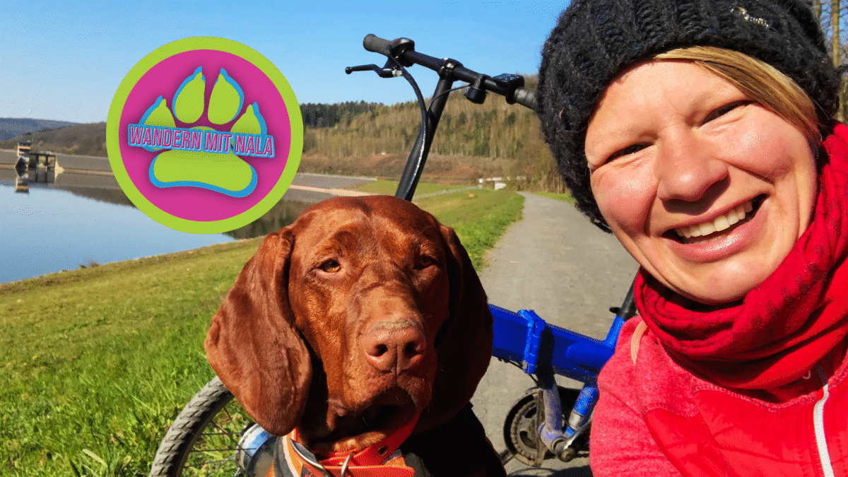 Fahrrad fahren mit Hund