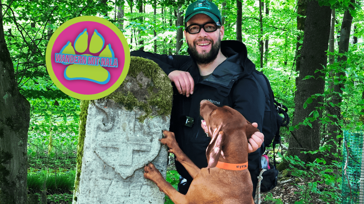 Mit Hund durch den Spessart wandern