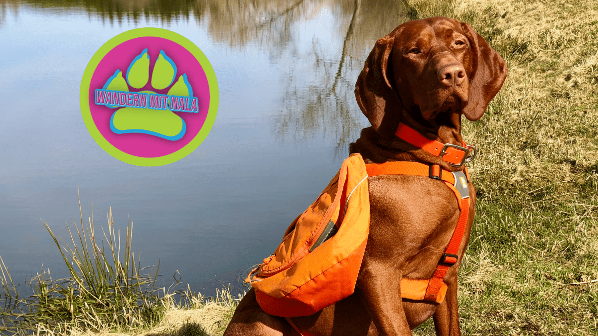 Hunderucksack Ruffwear Approach Pack