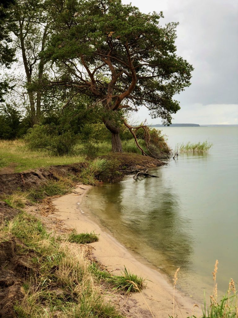 Minisandstrand am südlichen Gnitz