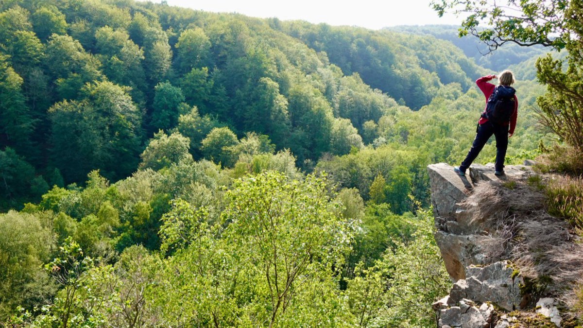 Wandern mit Hund im Söderåsen Nationalpark